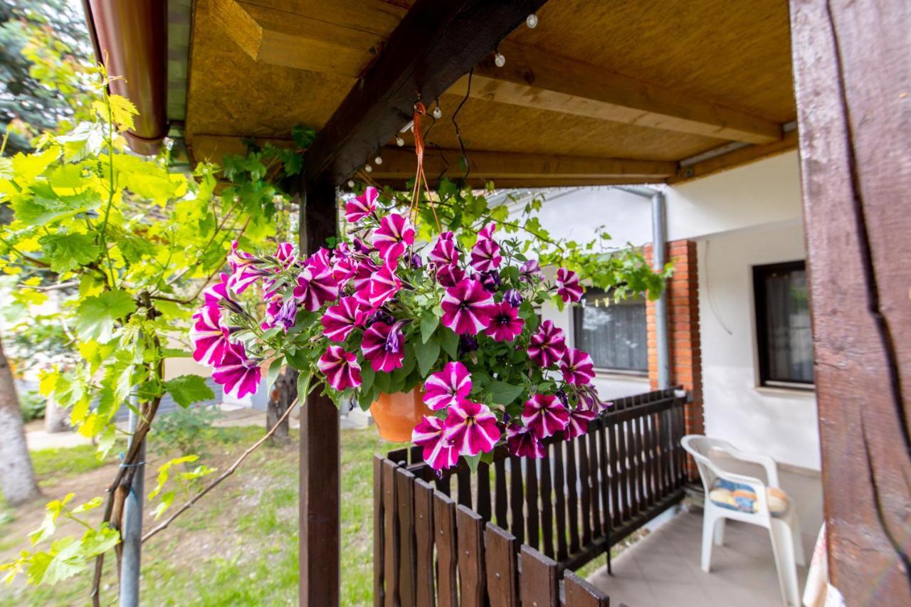 Apartman Marta I Soba Maja Gradiste Exterior foto