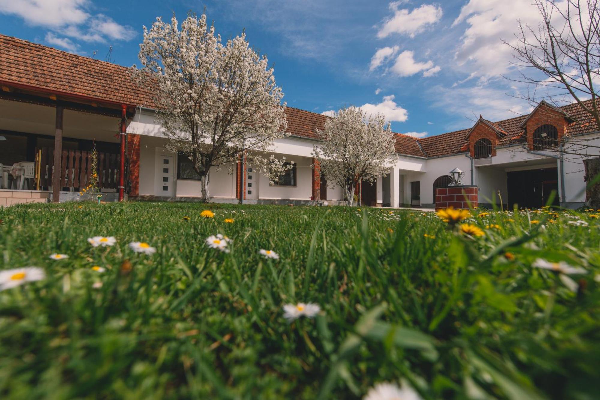 Apartman Marta I Soba Maja Gradiste Exterior foto