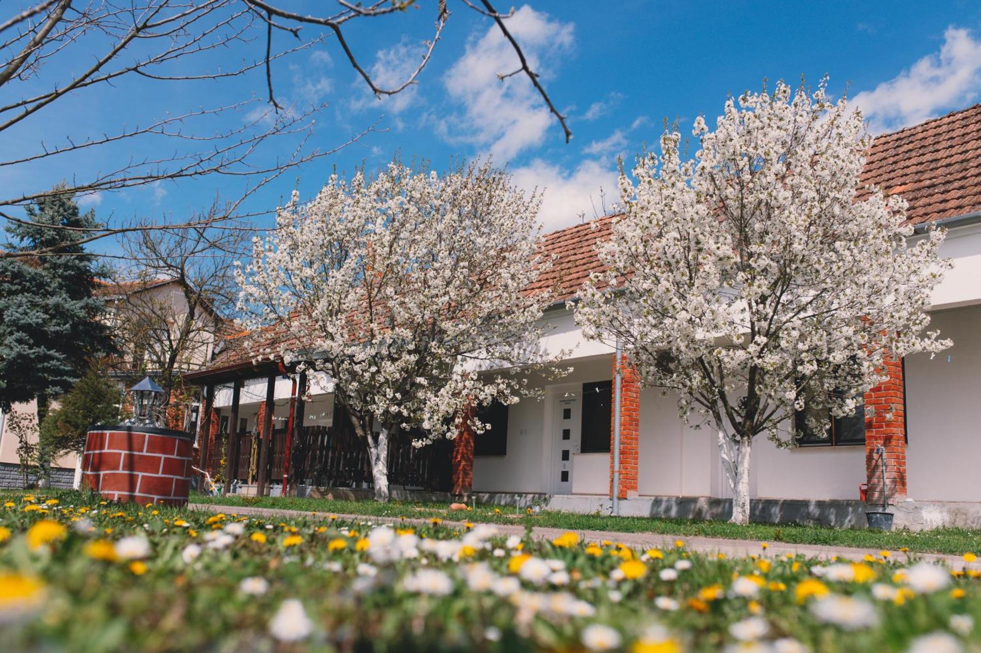 Apartman Marta I Soba Maja Gradiste Exterior foto
