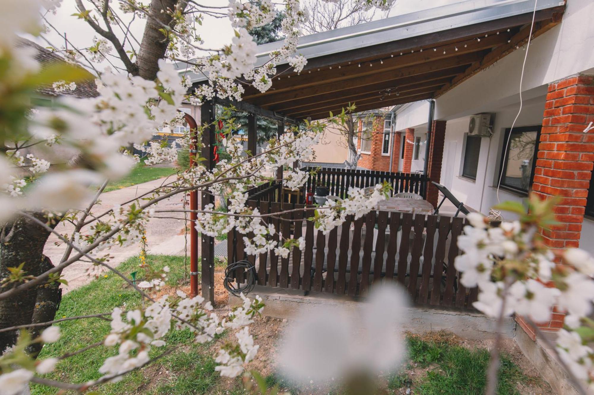 Apartman Marta I Soba Maja Gradiste Exterior foto