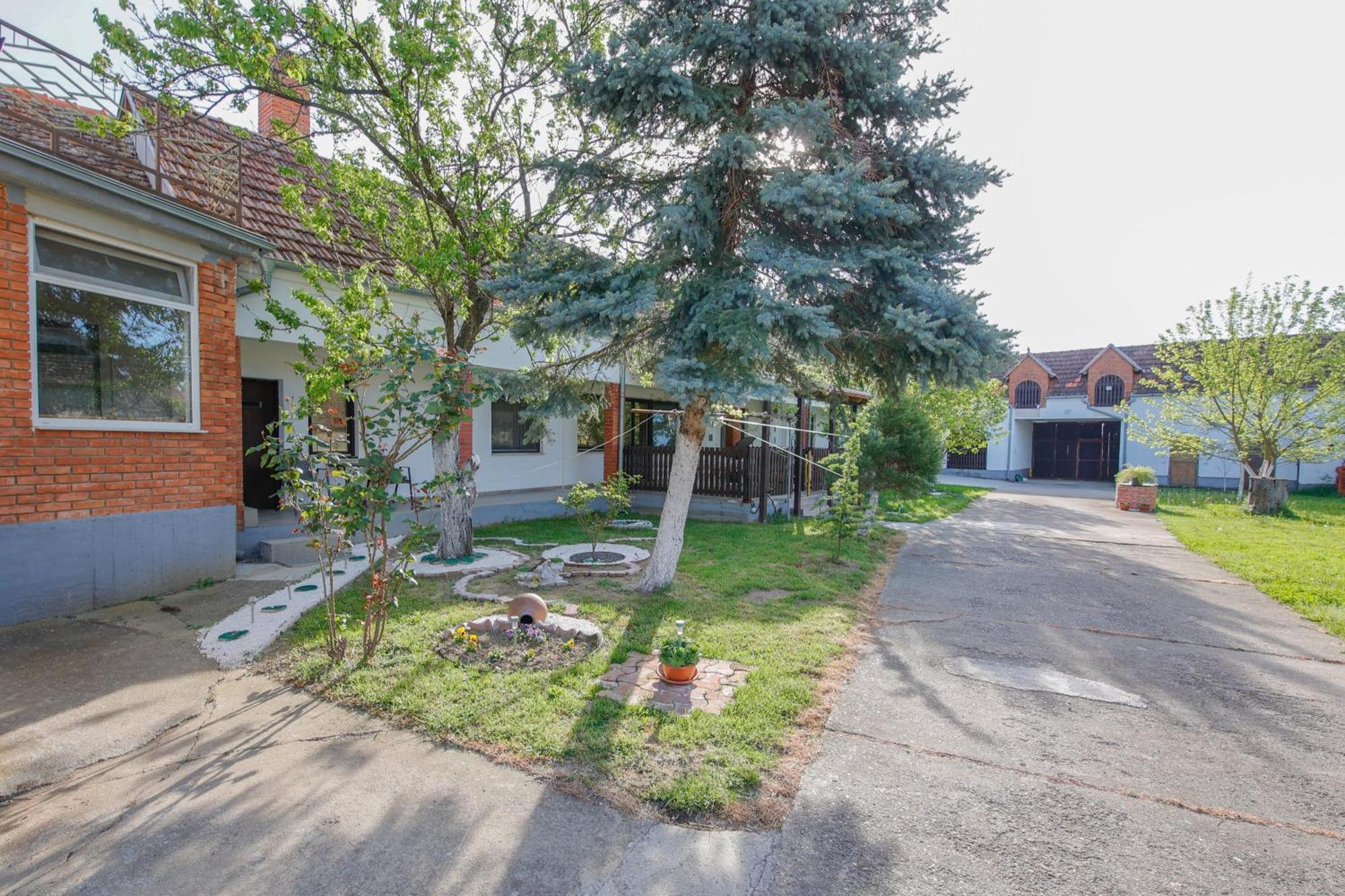 Apartman Marta I Soba Maja Gradiste Exterior foto